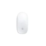 Apple Magic Mouse (Wireless, Rechargable) MK2E3AM/A