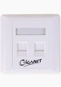 Giganet Dual Faceplate